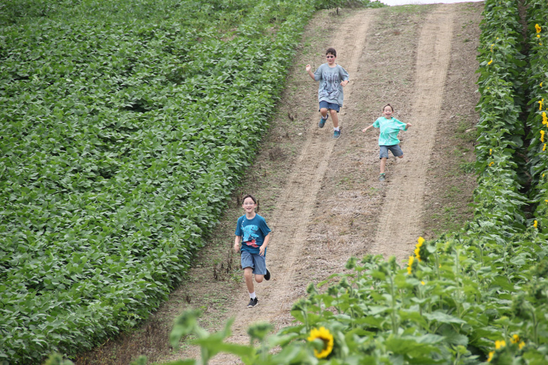 slideshow
